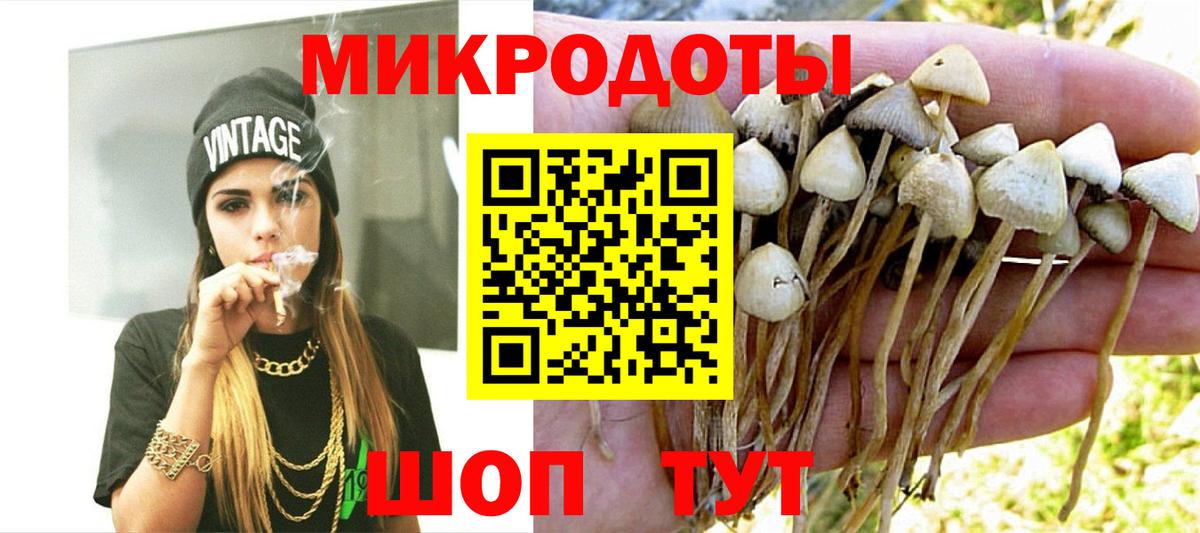 Псилоцибиновые грибы Cubensis Лесосибирск